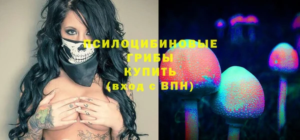 молекула духа Аркадак